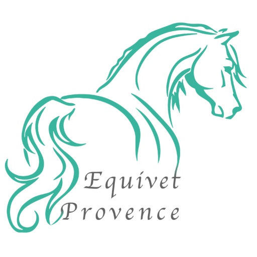 SCP EQUIVET PROVENCE