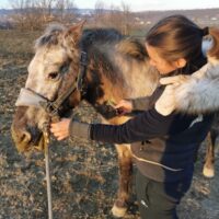 vétérinaires chevaux PACA Alpes